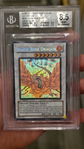 2008 black rose - 2008,
