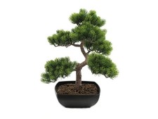 Europalms Bonsai-Pinie, 50cm -