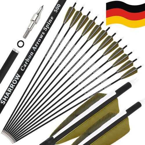12x carbonpfeile sp500 - carbonpfeile,