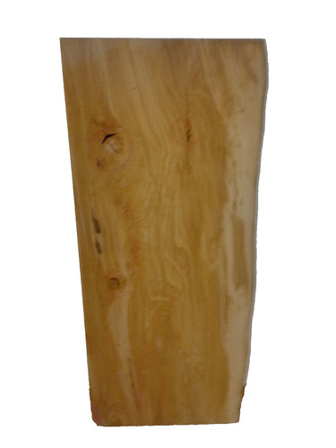 Buche gestockt gerissen - 1x,