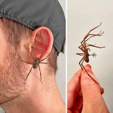 Große Spinne Ohrringe Gothic