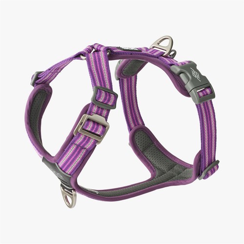 Dog copenhagen comfort walk - v3,