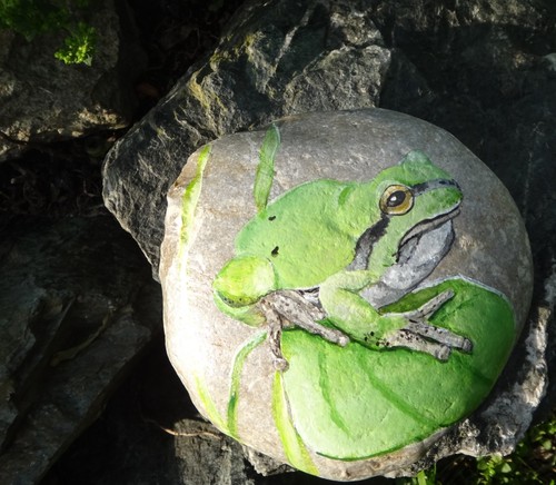 Frosch auf stein - auf,