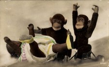 Ak Spielzeuge, Zwei Affen