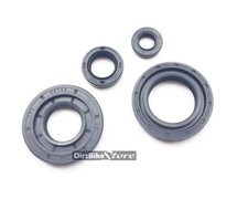 MAICO MC GS 250 400 440 490