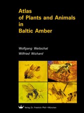 Atlas of Plants and Animals in Baltic Amber | Weitschat/Wichard | Buch | 2002