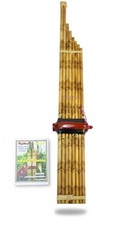 Khene Khaen 16 Pfeifenmundorgel SILBERROHR echt Thai Lao 1M + gratis Tasche NEU