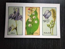 DDR Abziehbilder 3 Bilder