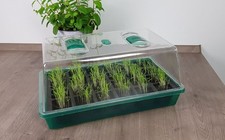 Mini Gewächshaus 24 Fächer -