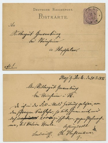 113672 ganzsache 12 - -, (186)