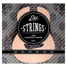 Eko Guitars Classical Guitar