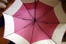 Stockschirm Regenschirm "CONTY'S" beige rosa "CONTY'S  Passion for Rain"