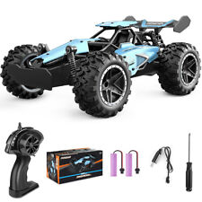 Ferngesteuertes Auto 1:18 RC