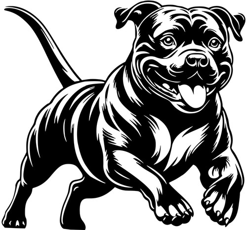 Staffordshire bullterrier - staffordshire,