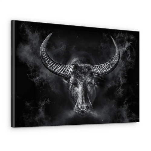 Acrylglas bild abstrakt stier - acrylglas,