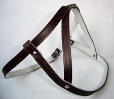 Hundegeschirr - Geschirr