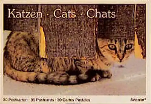 Katzen cats chats 30 - katzen,