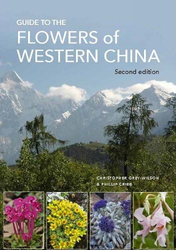 Guide the flowers - flowers, of