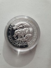 Somalia Elefant 2013