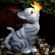 Katze Kätzchen Tier