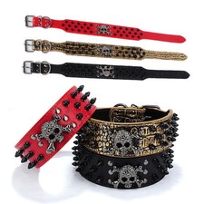 Nieten Halsband Welpe