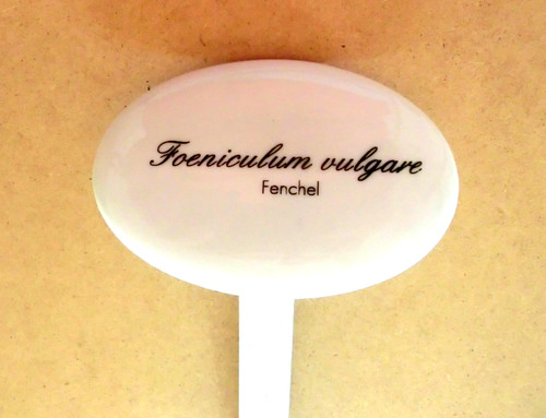Kräuterschild oval porzellan - oval,,
