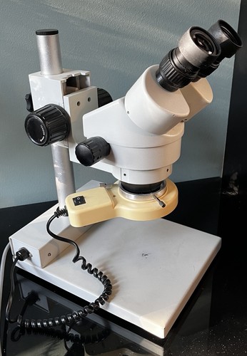 Stereomikroskop wf10x - stereomikroskop, wf10x/20