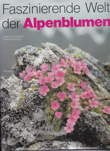 Faszinierende welt der - faszinierende,