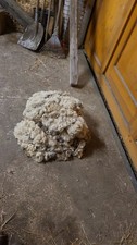 5 kg schafwolle - ca., 4,5