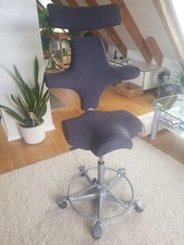 HAG Capisco 8107 - neuer Bezug