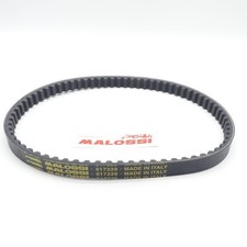 Keilriemen malossi k belt - x,