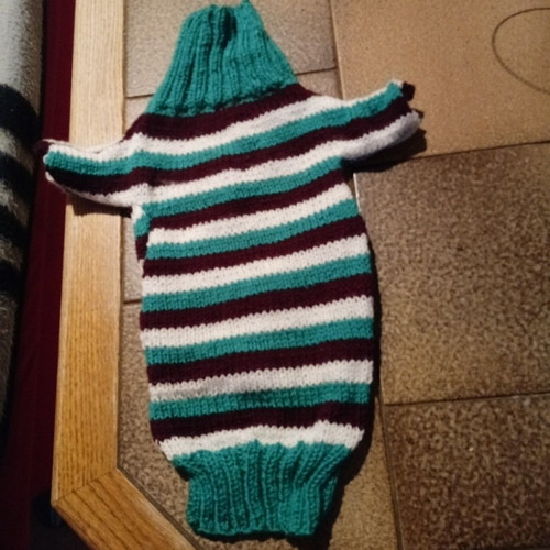 Hunde pulli - hunde,