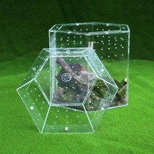 Transparentes Terrarium für