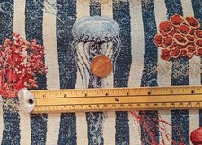 Quallen Korallen Fische