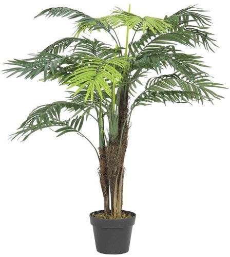 Europalms areca palme - areca,