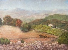 Landschaft Von Provence