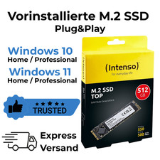 M.2 SATA SSD mit