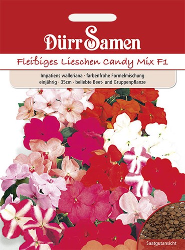 Fleißige lieschen mischung - mischung, f1