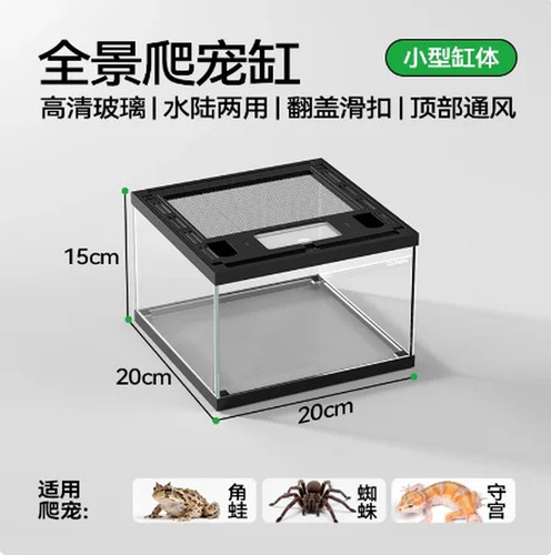 Glass reptile terrarium - reptile,