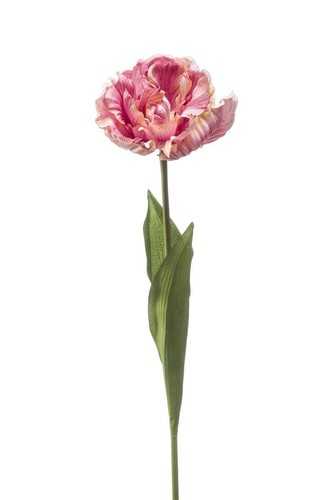 Artplants kunst papageientulpe - artplants,