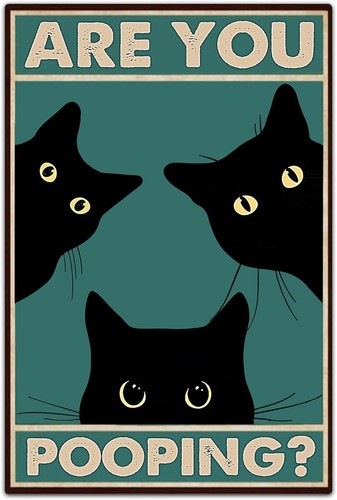 Jimowang black cat - cat, you