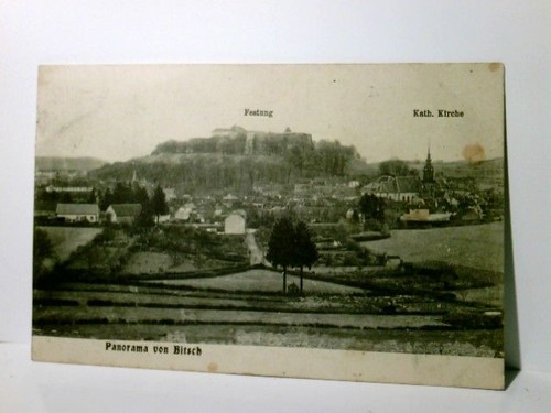 Bitsch panorama lothringen - bitsch.,