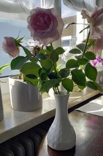 Blumenvase, Porzellanvase