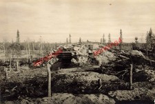 Deutscher Bunker im Urwald von Karelien Finnland