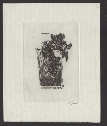 373 exlibris ex - s2)nr.373,exlibris,,