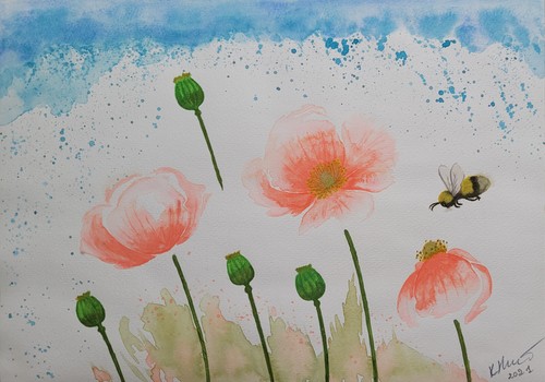 Bild selbstgemalte poppys - bild,