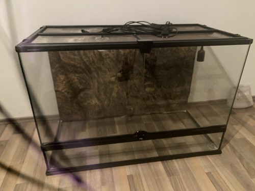 Terrarium für reptilien - terrarium,