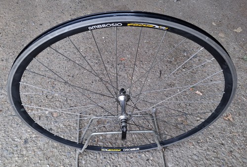 Vorderrad ambrosio focus - ambrosio, 28"