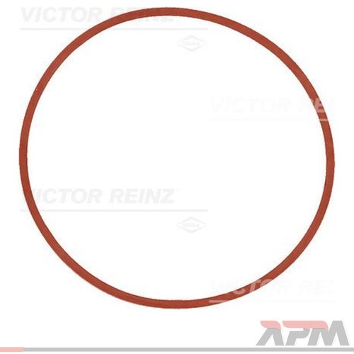 Victor reinz 77535 00 - reinz, 40-77535-00