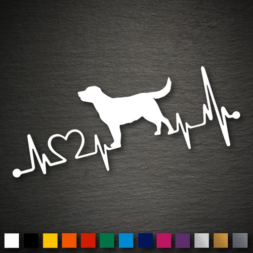 14195 labrador retriever - 14195,